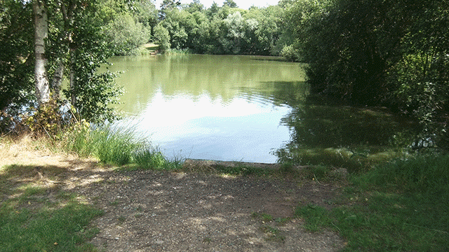 Lodge 2 Swim