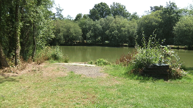 Lodge 3 Swim