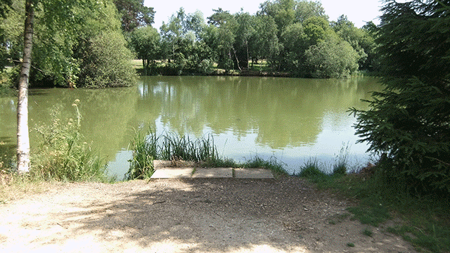 Lodge 1 Swim