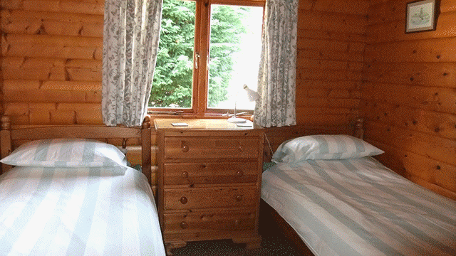 N-Lodge Twin Room